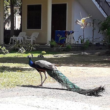 Golden Beach Rest Hotel Tangalle Buitenkant foto